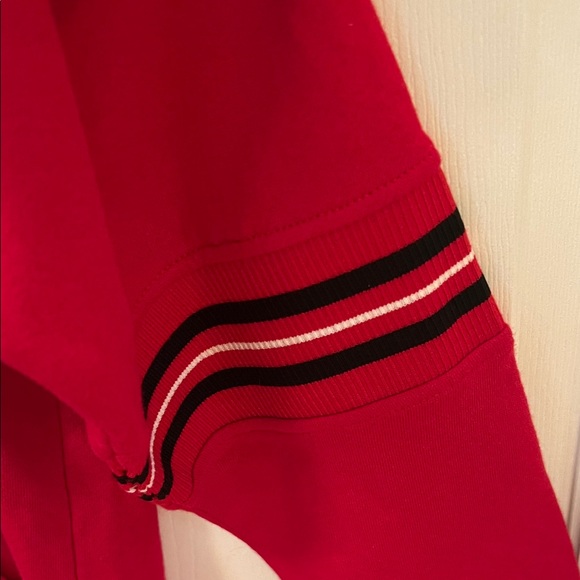 NWT Colosseum University of Wisconsin Youth Hoodie - Picture 4 of 8